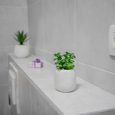 Apartment Leoni