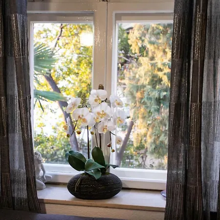 Apartment Leoni *